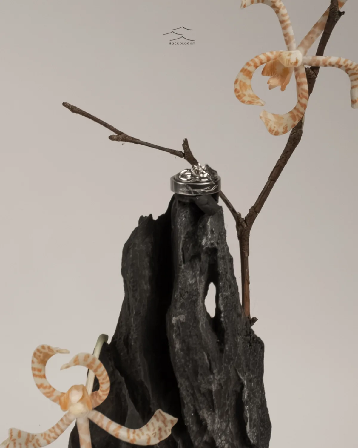 Cincin Arrofi custom Rockologist